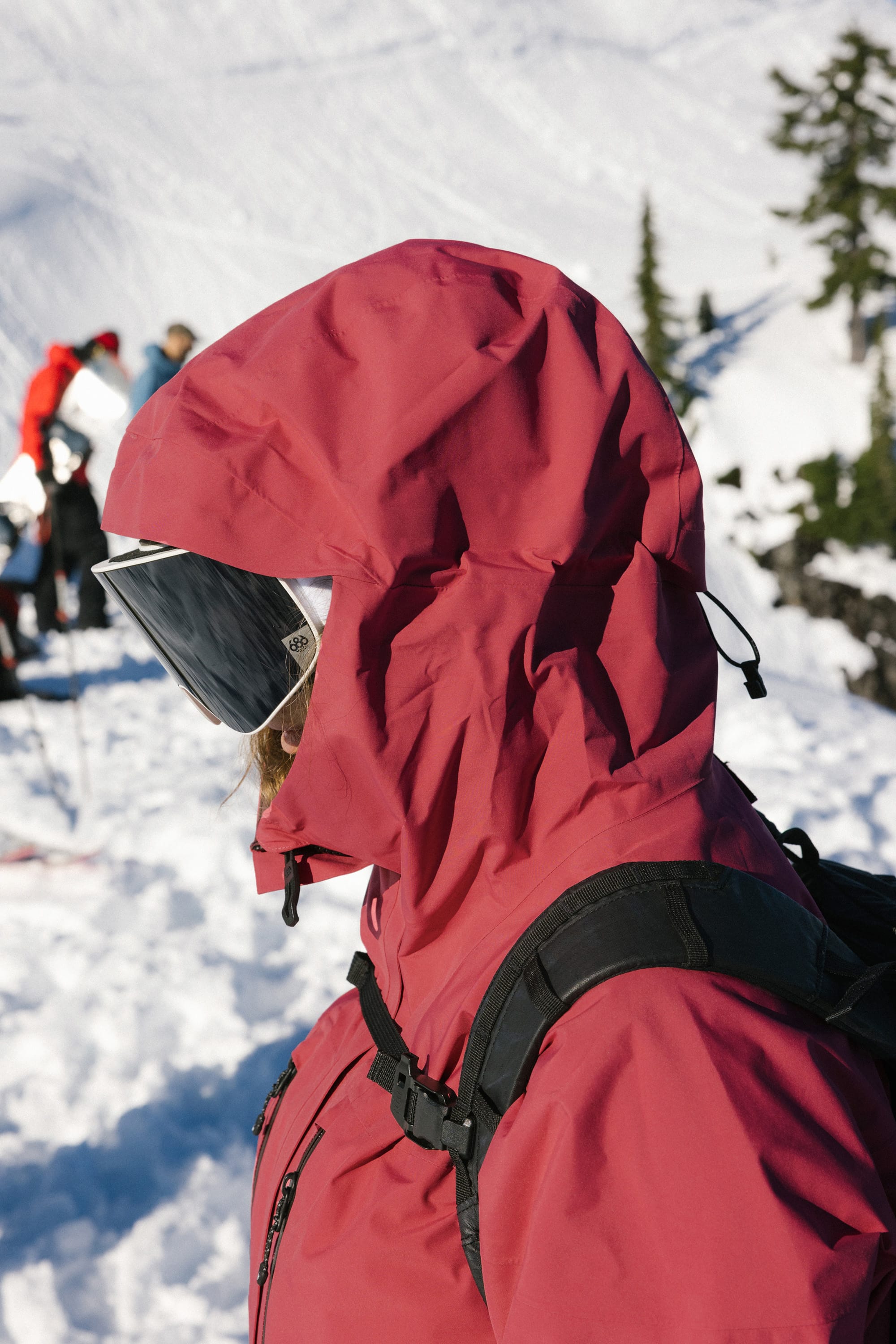 686 Women's GORE-TEX Skyline Thermagraph® Jacket